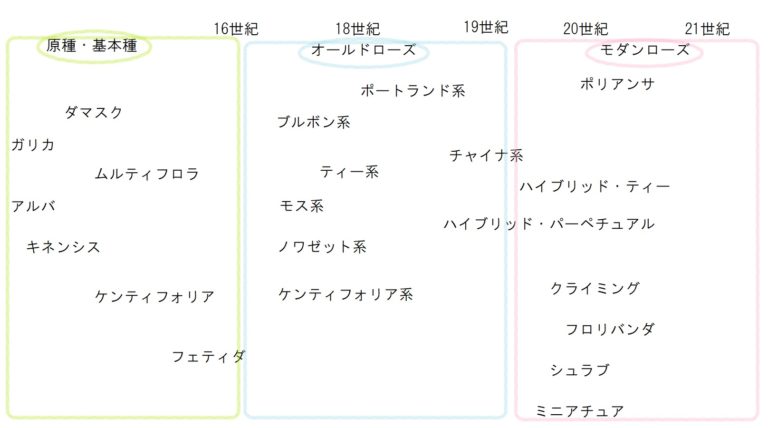 バラの種類 系統とは 現在では5万品種以上あるともいわれています フラワーガーデン